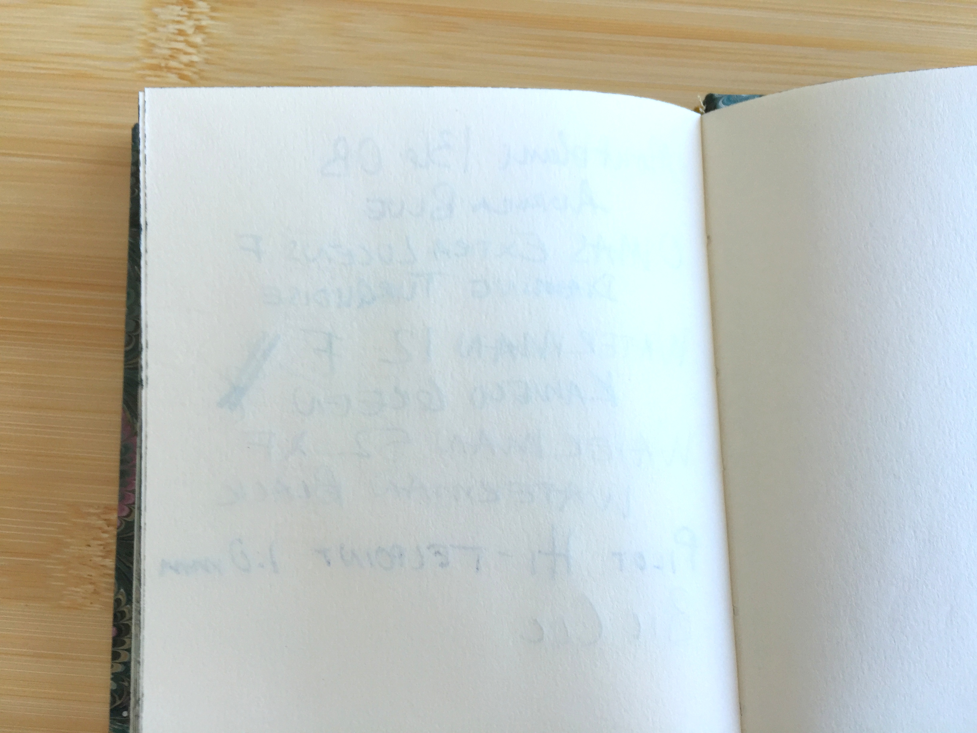 Il Papiro Marbleized Notebook