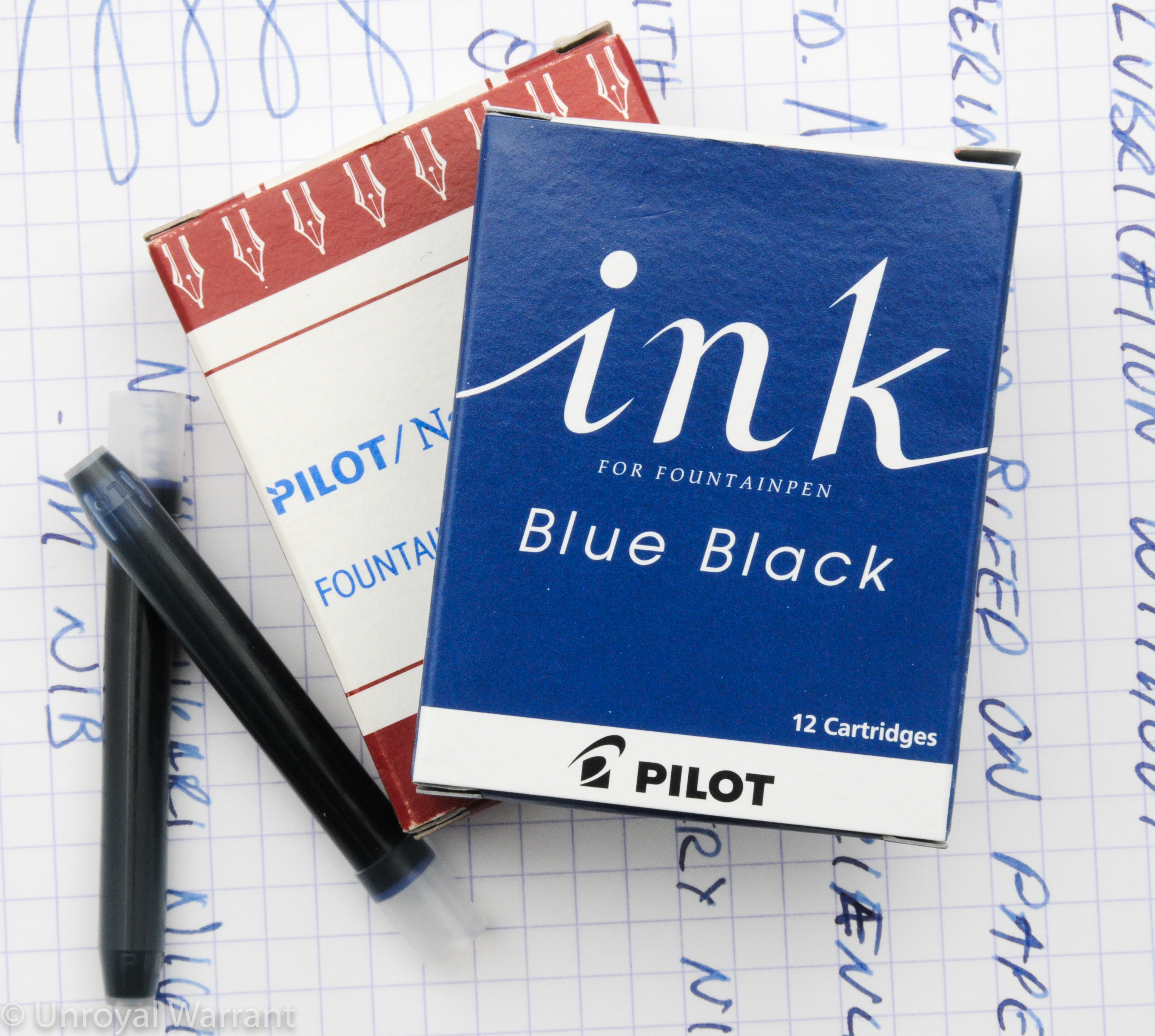 Pilot Blue Black Fountain Pen ink